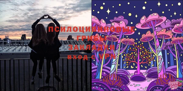 спайс Алзамай