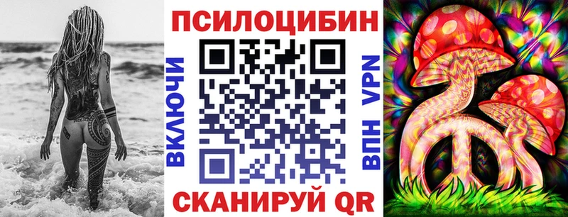 hydra ССЫЛКА Мытищи Галлюциногенные грибы мицелий
