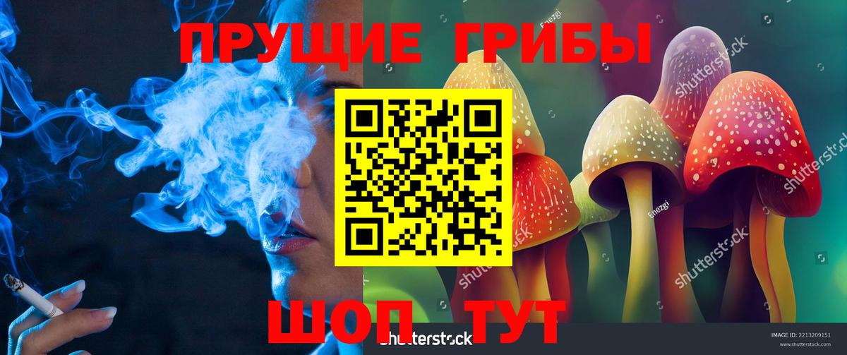 Мытищи  Галлюциногенные грибы Cubensis  Псилоцибиновые грибы GOLDEN TEACHER  Вход с VPN 